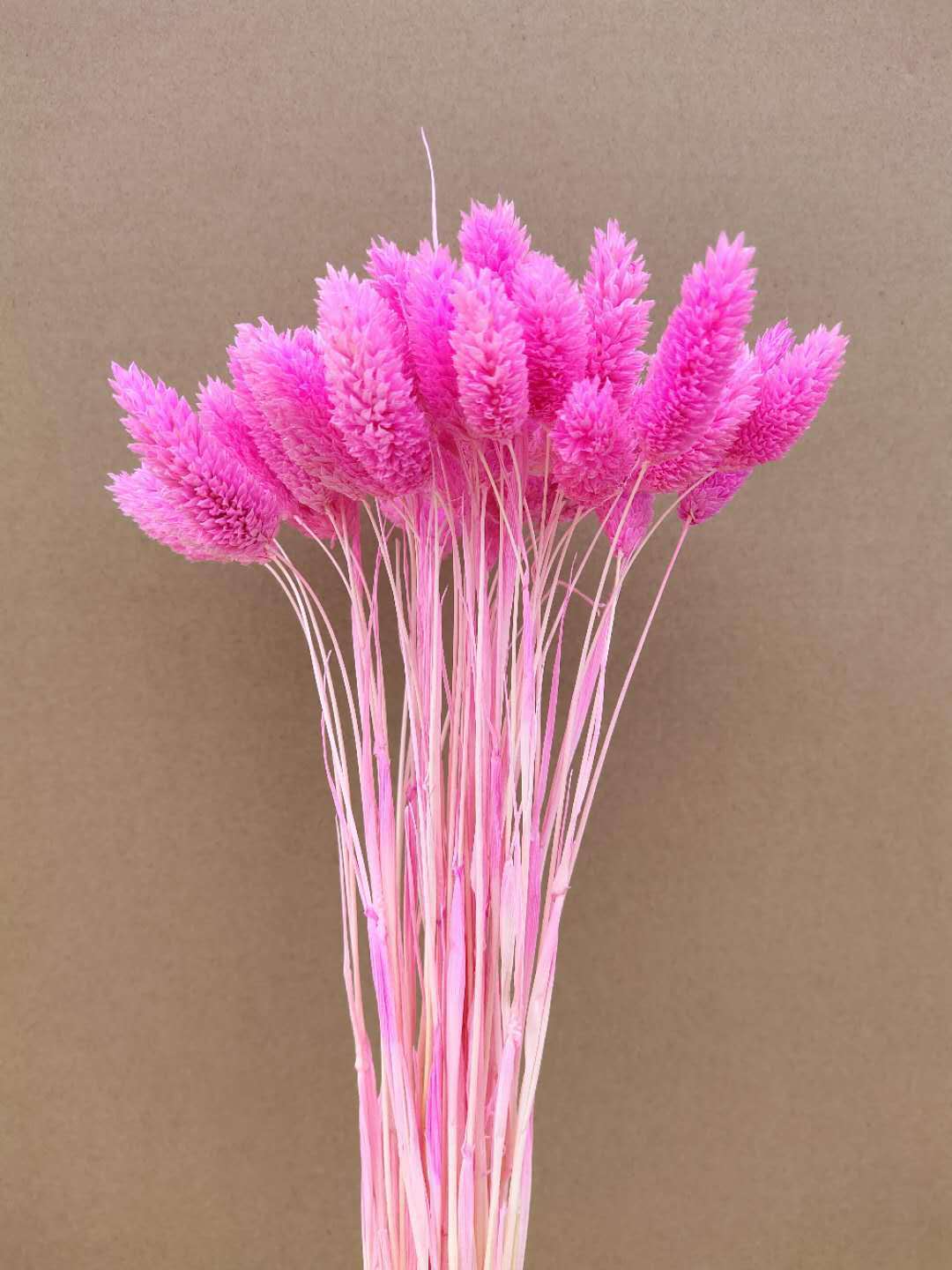rose pink