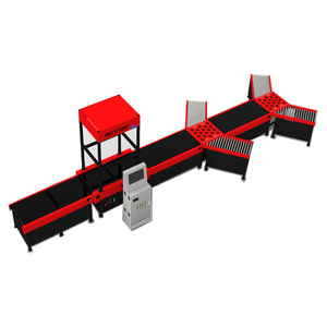 Trasportatore di smistamento automatico/macchina di smistamento pacchi per posta con sistema di pesatura/dimensionamento/scansione DWS Pre-ordinamento - Product Image 1