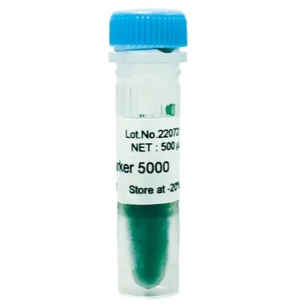 PCR master mix 5000bp dna ladder pcr gel electrophoresis