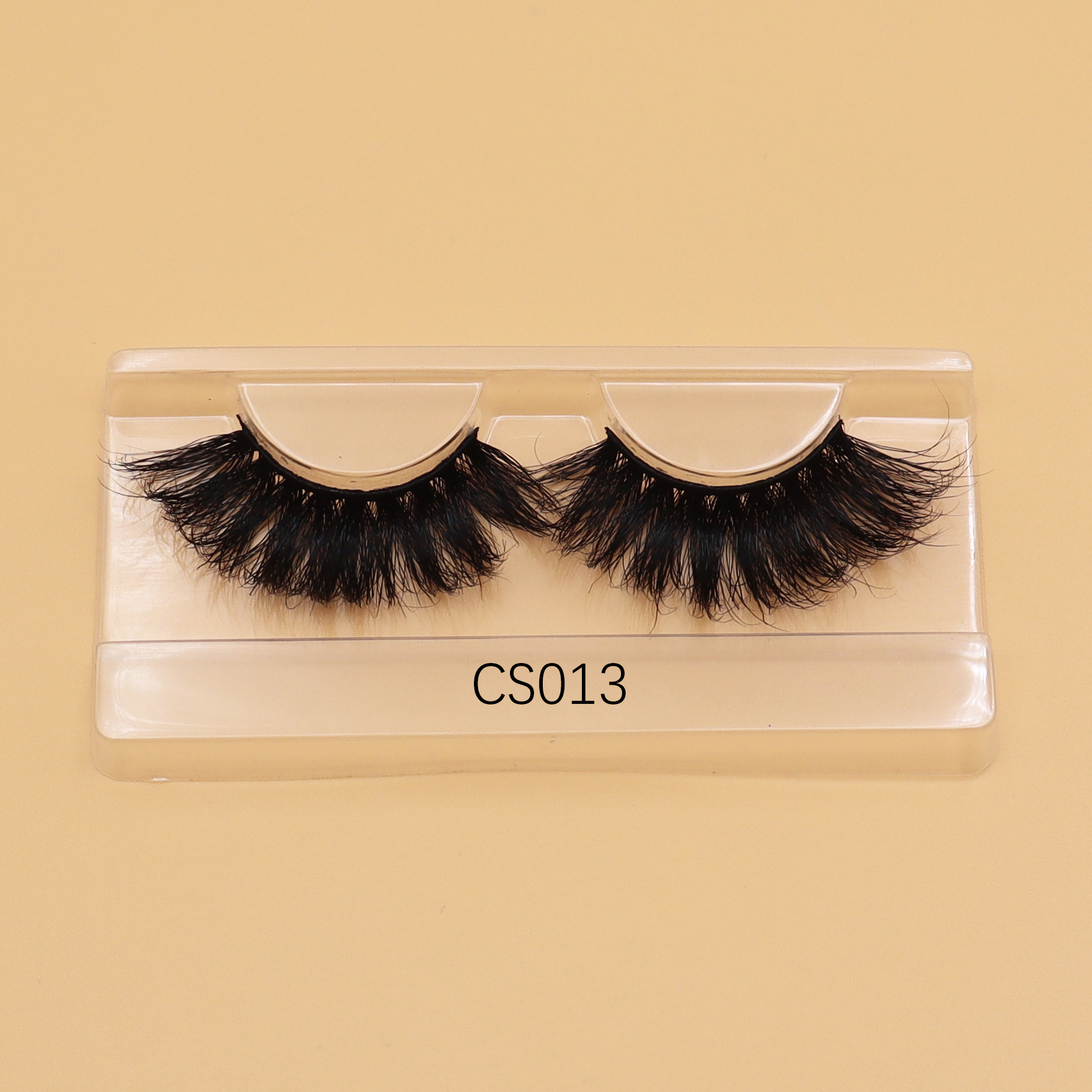 CS13
