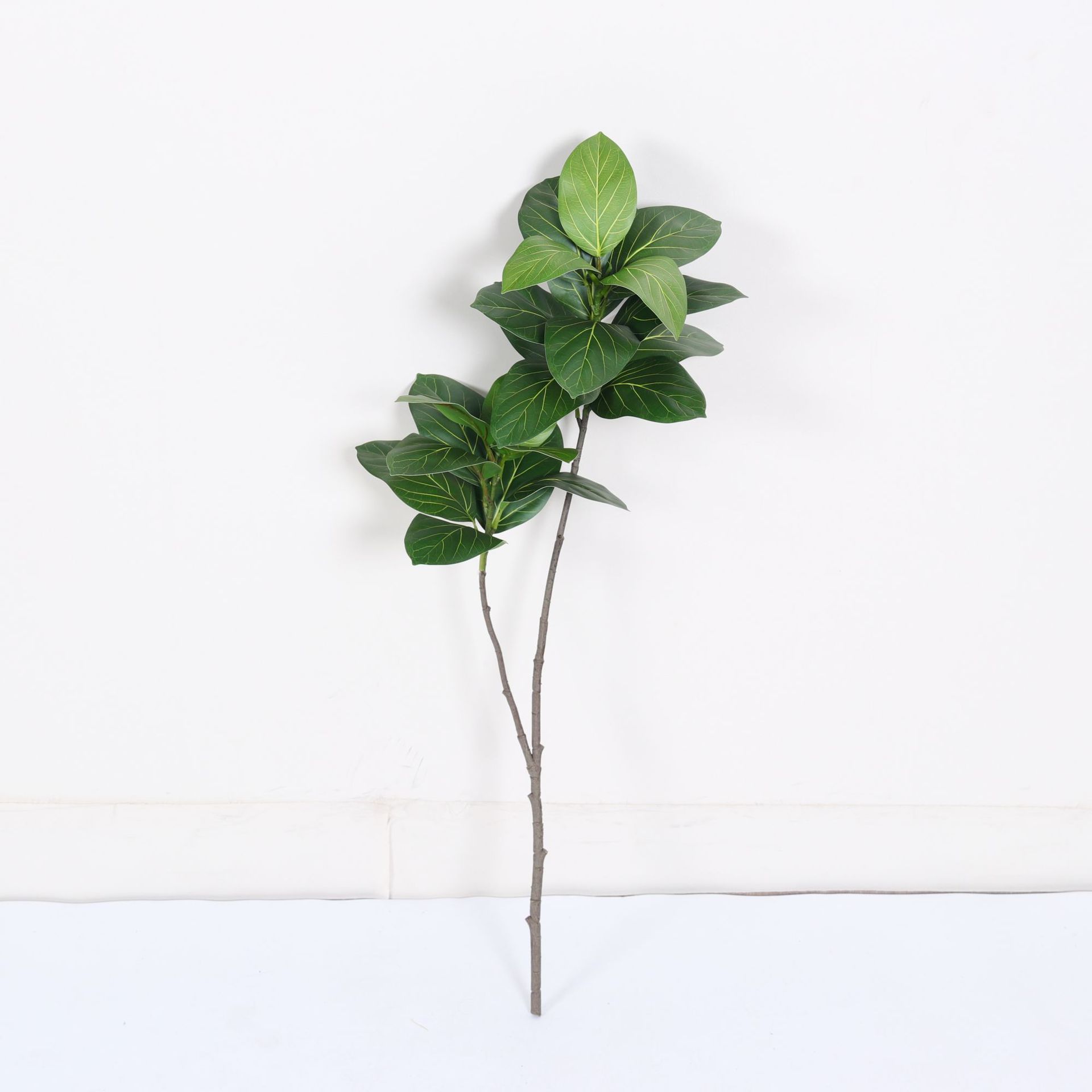 Ficus microcarpa à une branche avec 2 branches - 100cm
