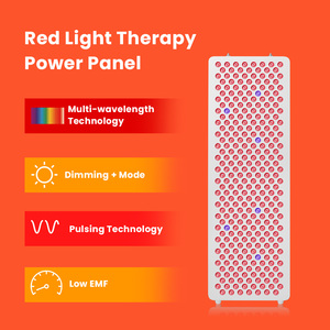 深セン医療グレードLEDセラピーマシン新シリーズ立っているデバイス赤赤赤赤外光ledパネルボディ用 - Product Image 4