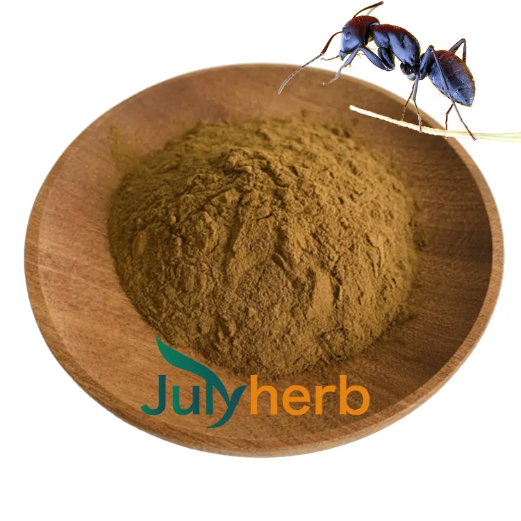 Julyherb 100% ナチュラルブラックアリキングパウダーブラックアントエキスパウダー