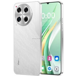 Toptan popüler ZNNXECC Camon30Pro 6.6-inç HD 4G çift SIM Android Smartphone fransız fabrika doğrudan tedarik özelleştirme - Product Image 1