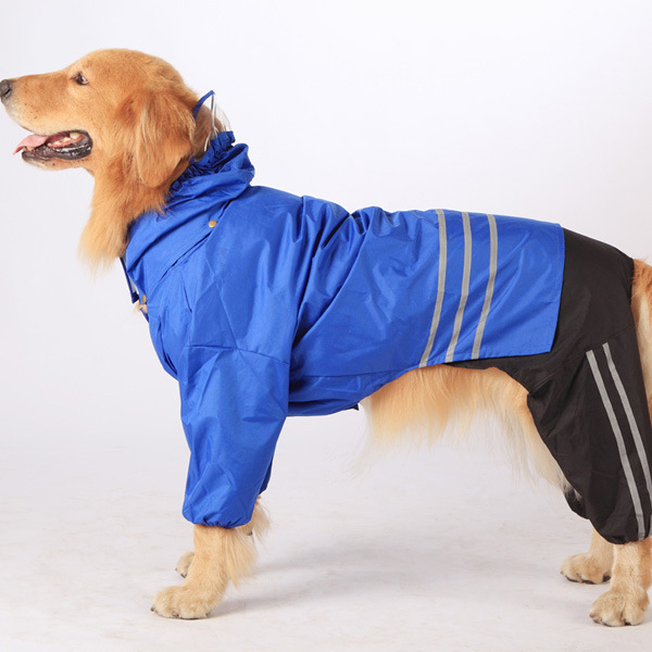Big Dog Raincoat Blue