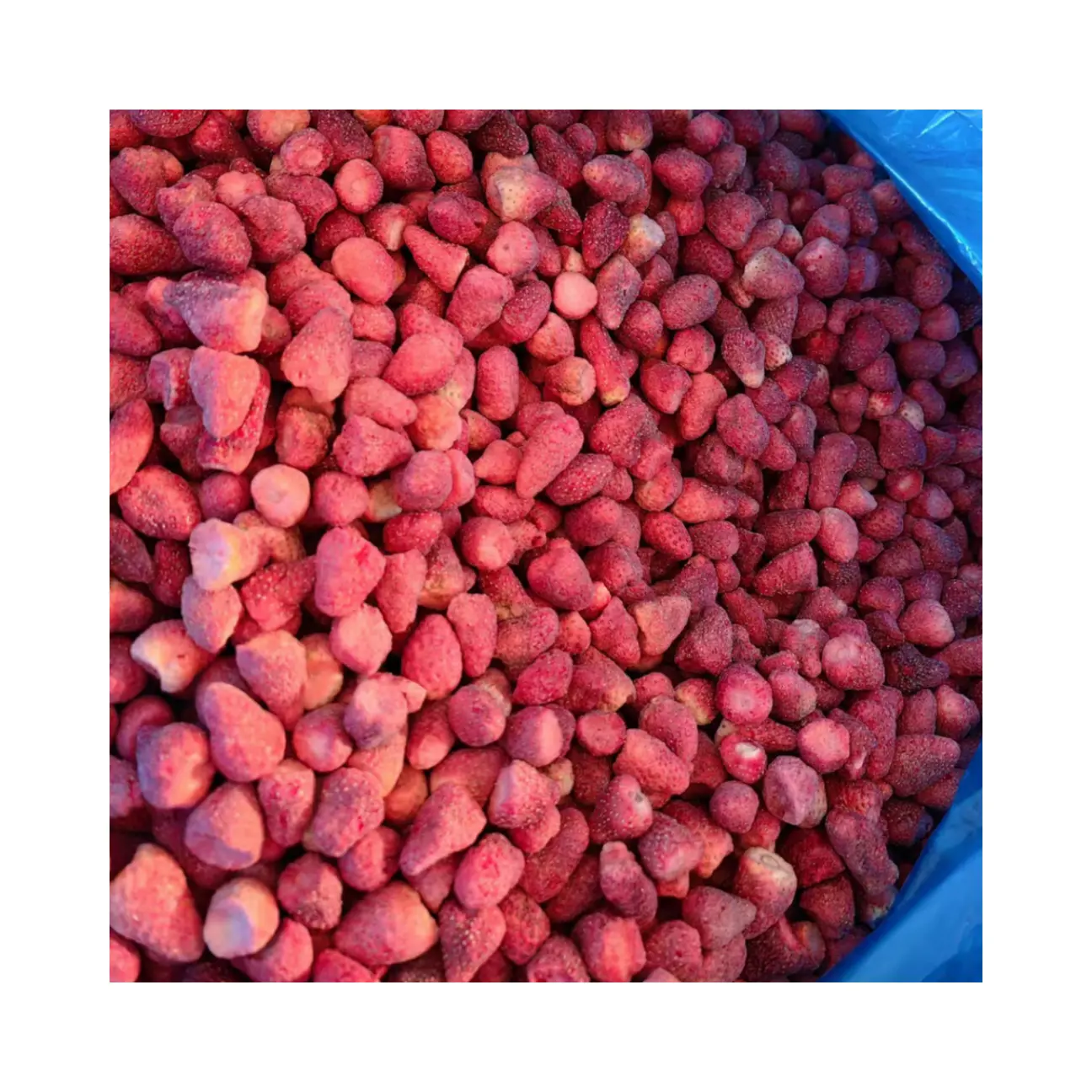 공장 도매 대량 동결 말린 혼합 과일 딸기 동결 말린 과일 브랜드 WXHT 프롬프트 배달 및 무료 샘플