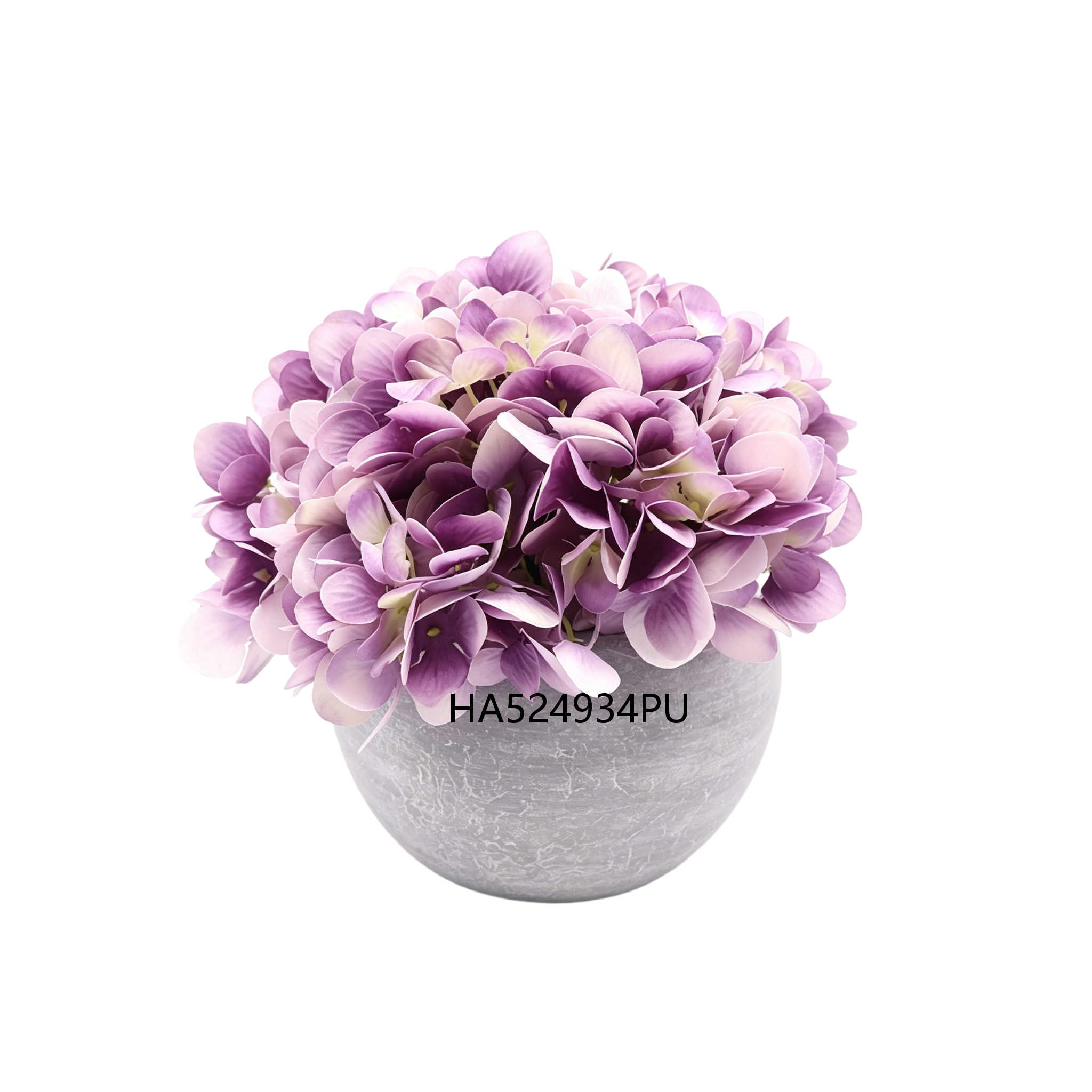 Pourpre