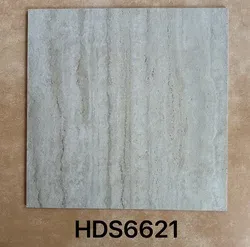 HDS66216