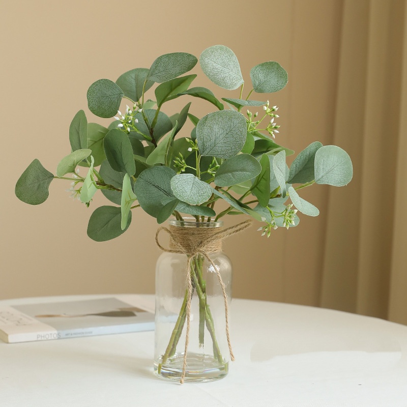 Verde01
