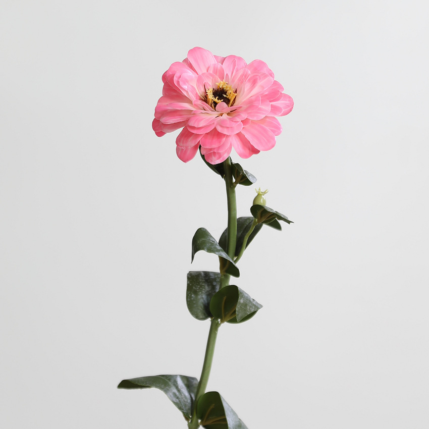 Rose foncé