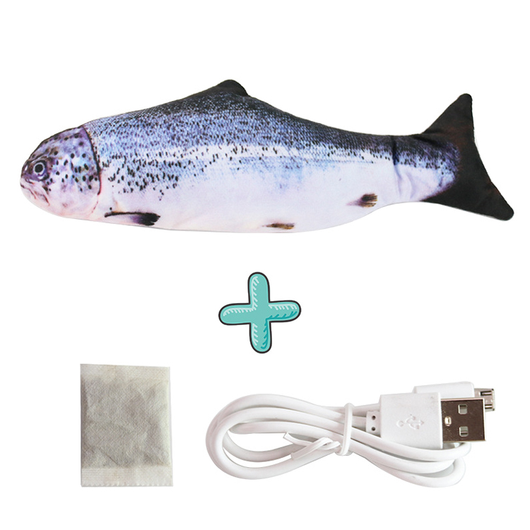 Salmon