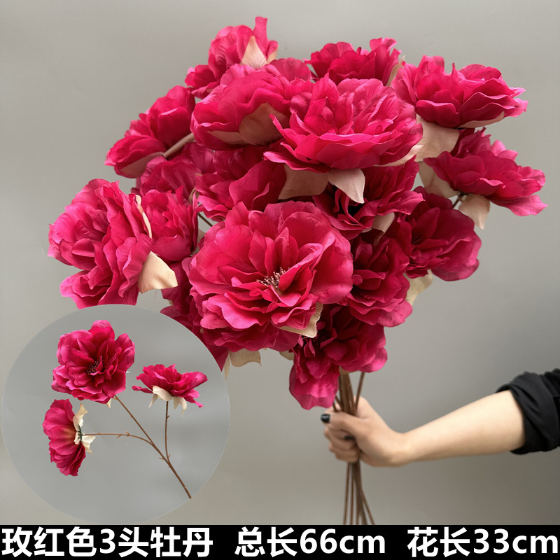 Rosa 3 peonía