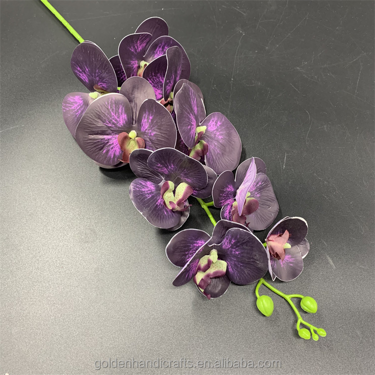 morado oscuro
