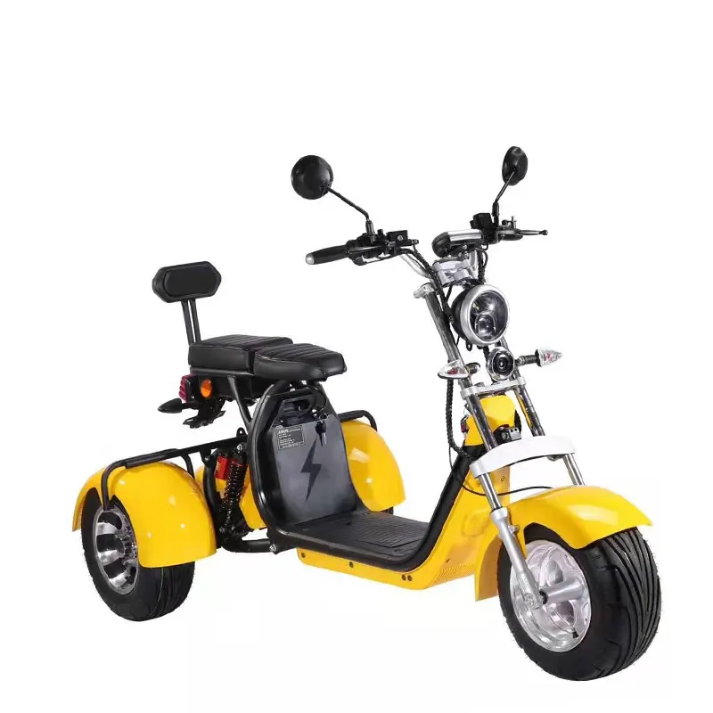 Cheap Tricycle electric scooter adult electric citycoco 2000w Three Wheel Motorcycle Product