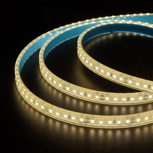 Luce a striscia LED in rame per 120 intelligente del produttore cinese controllo interruttore impermeabile per interni ed esterni - Product Image 1