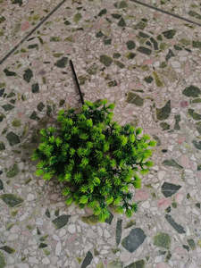 J-0610 Nhà Máy Thực Tế Nhân Tạo Cây Thông Chi Nhánh Bonsai Thông Cây Bách Xù Thông Vườn Cây Với Kim - Product Image 5