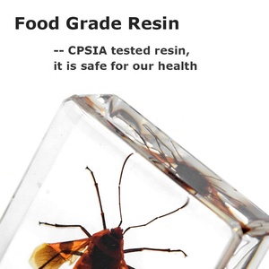 Trung Quốc nhà máy bán buôn số lượng lớn 38 * Acrylic tle Bọ Cạp Wasp động vật nhỏ Nhựa thực côn trùng mẫu vật sản phẩm - Product Image 3