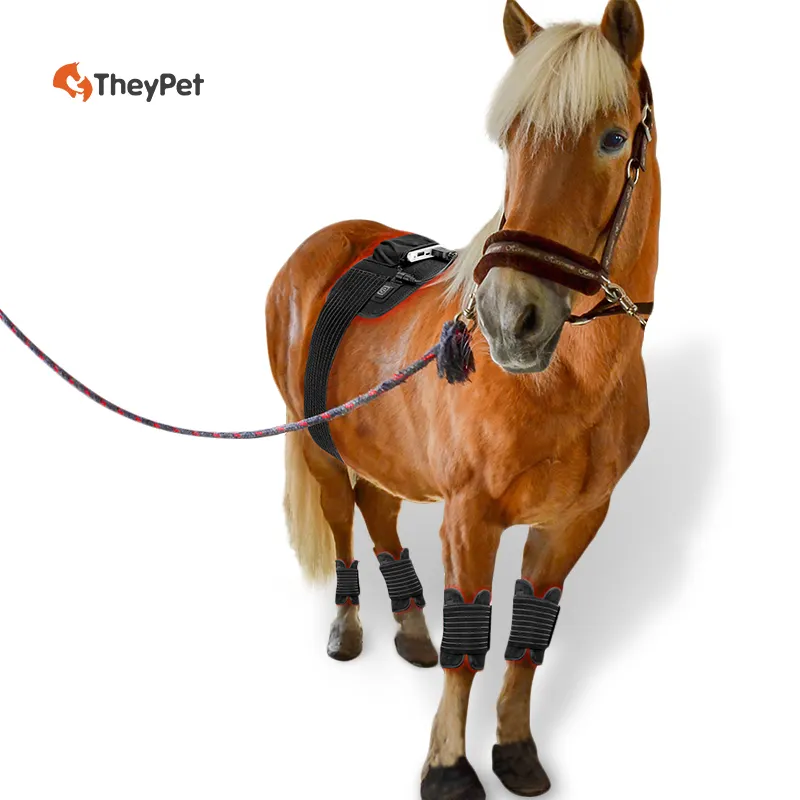 Couverture de cheval physique LED thérapie par la lumière rouge ceinture de cheval coussin de luminothérapie pour animal de compagnie thérapie par la lumière infrarouge de haute qualité