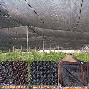 <strong>2025</strong> Sun Shade Net Greenhouse Flat Wire Shade Net HDPE High Quality Material Shadow <strong>Netting</strong> for Sale - Product Image 3