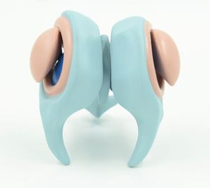 Kyrenmed mô hình hạt nhân cơ bản não người não thất não & Mô hình hạt nhân cơ bản - Product Image 5