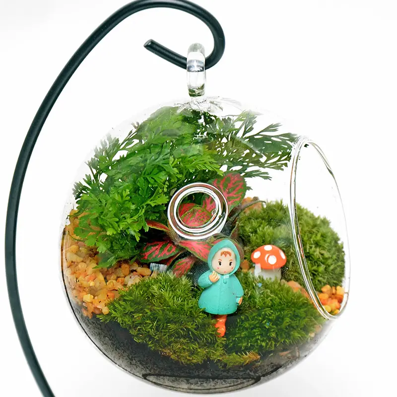 Heißes Verkauf mund geblasenes Glas mit rundem Boden Terrarium Fisch Blumenvase