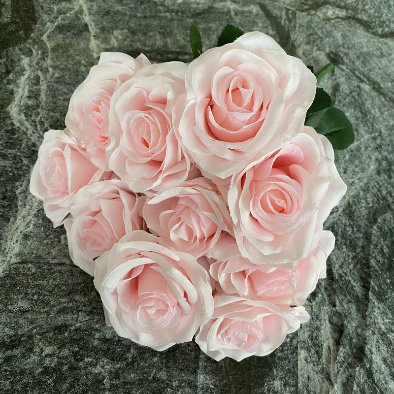 Rosa chiaro