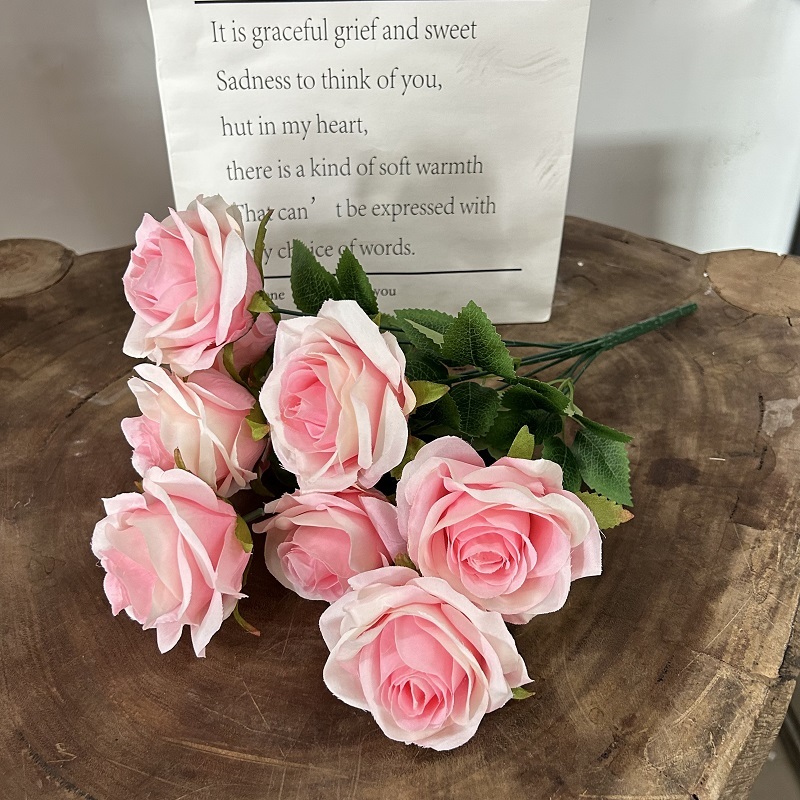 Rosa