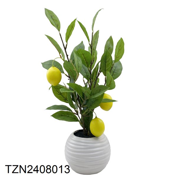 Vert-TZN2408013