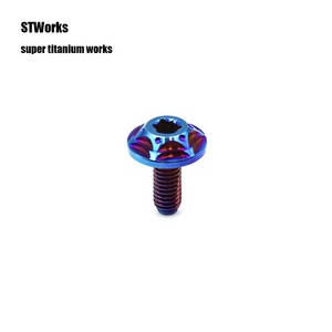 M5 M6 M8 Titan Gr5 Torx Pan Kopfs ch rauben MOTORRAD BOLZEN Regenbogen - Product Image 3