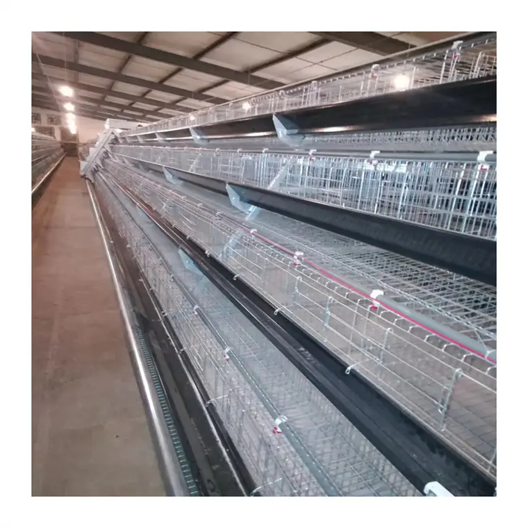 Yeni Modern tavuk kafesi tavuk yumurta tavuk döşeme kafesleri bir tip sıcak daldırma galvanizli tel örgü pil üreme kafesi satılık