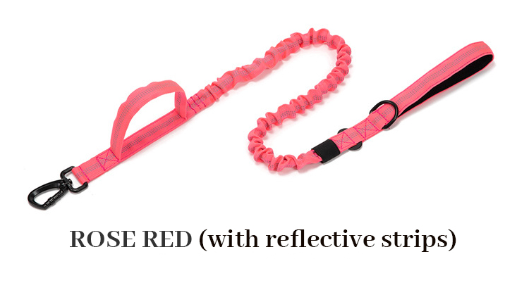Pink leash
