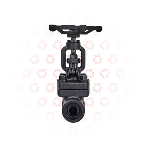 800LB 3/8" 3/4" 1" 2" Class 150 200 300 500 <strong>800</strong> Manual Carbon Steel Check <strong>Valve</strong> Control <strong>Globe</strong> <strong>Valve</strong>