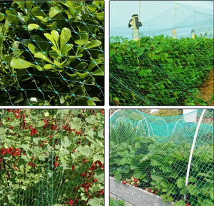 Hochfestes Nylon-Vogel netz mit 2cm Mesh, wissenschaft lich gestaltet, geeignet für Gewächs häuser, Obstgärten und Weinberge. - Product Image 5