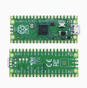 PICO-lampone Pi ROHS con logo e senza logo