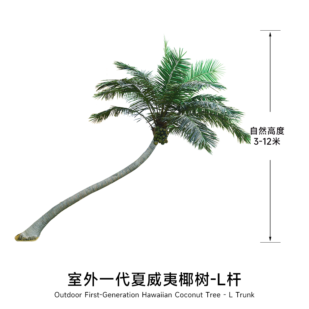 Cocotier hawaïen - Forme en L