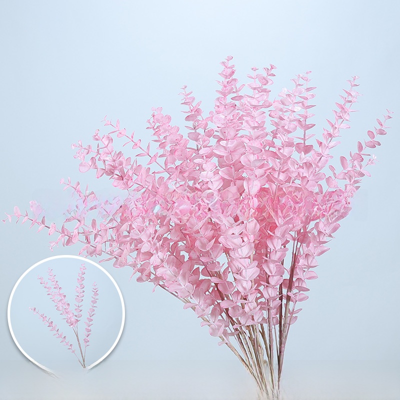 5-pronged eucalyptus/1 stem