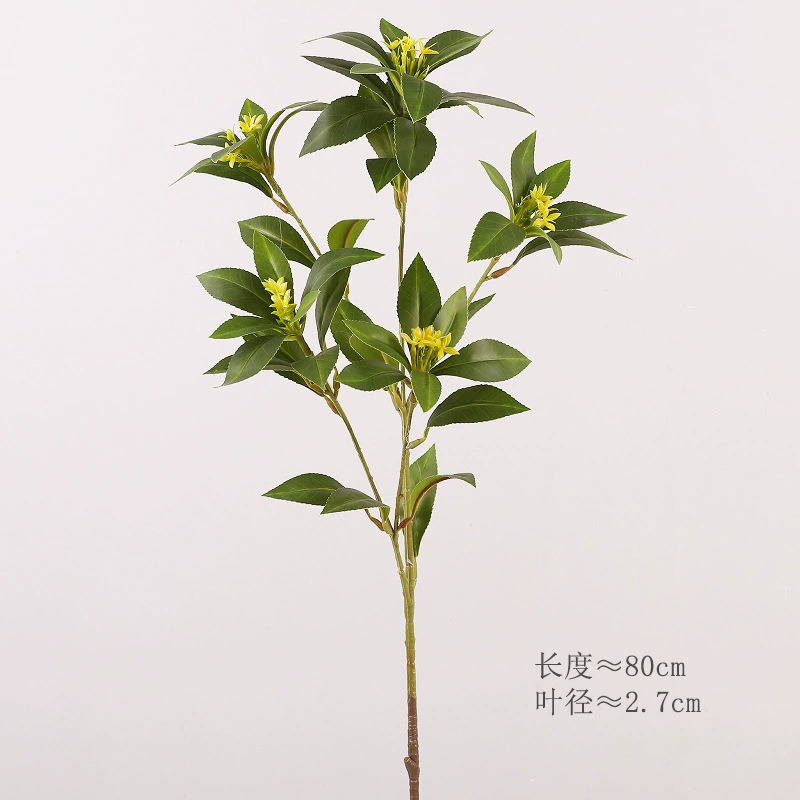 Piper longifolia