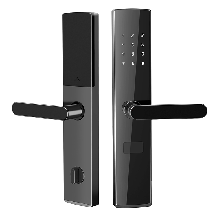 APP TTlock + carta + Password + chiave