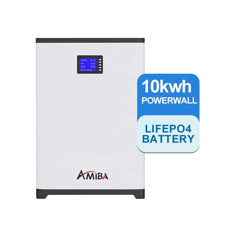 6000 Cycli Powerwall 48V 200ah 100ah Thuis Energie-Opslag Batterij 51.2V 5kwh 10kwh Powerwall Gemonteerde Lithium-Ion Batterij