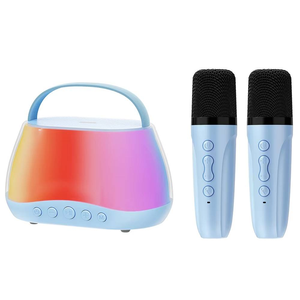 Party RGB Gesangs mikrofon Karaoke Home Lautsprecher OEM Bass Wasserdichter Subwoofer Drahtlose tragbare Stereo-Sound-Spieluhr