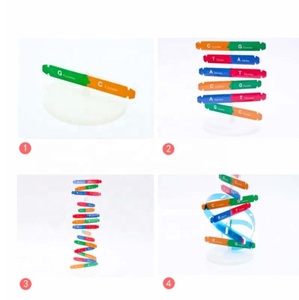 DNA kiti öz çift sarmal Model seti montaj DNA ekran standı çift sarmal modeli insan genleri eğitici oyuncak biyolojik öğretim - Product Image 3