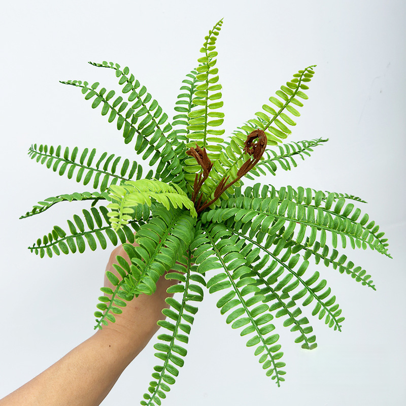 Herbe verte-persane