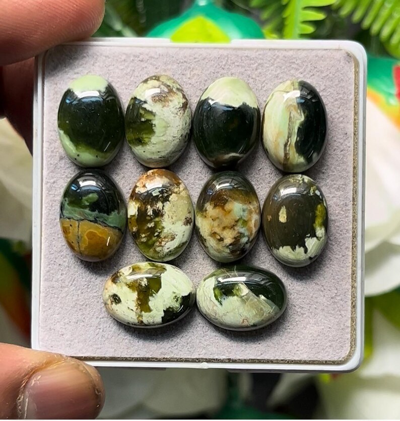 multi