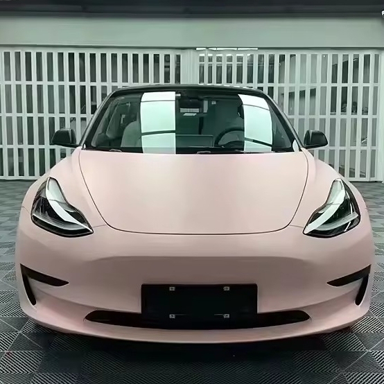 Conchiglia piatta rosa (tocco della pelle)