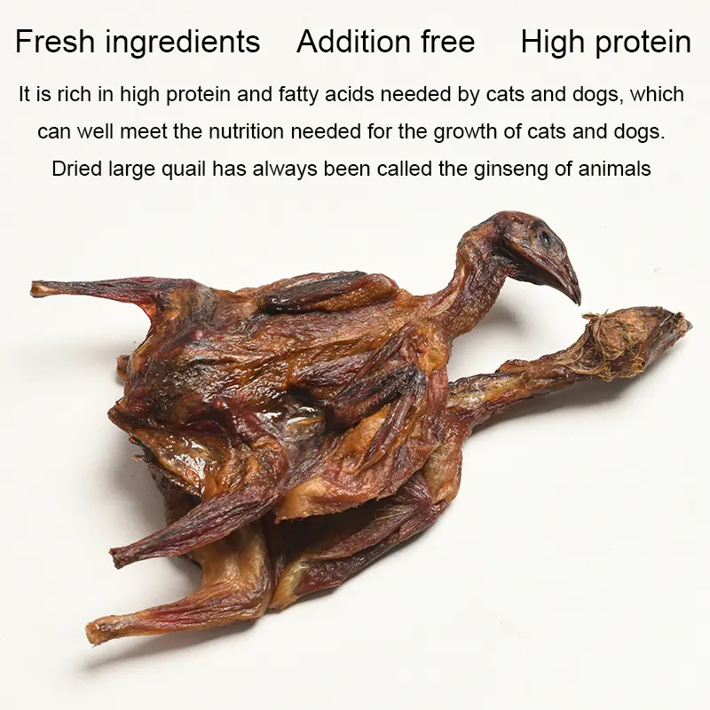 공기 건조 개 사료 대형 메추라기 2023 새로운 애완 동물 취급 도매 고양이와 개 간식 식품 개 취급 애완 동물 자연 건조 메추라기