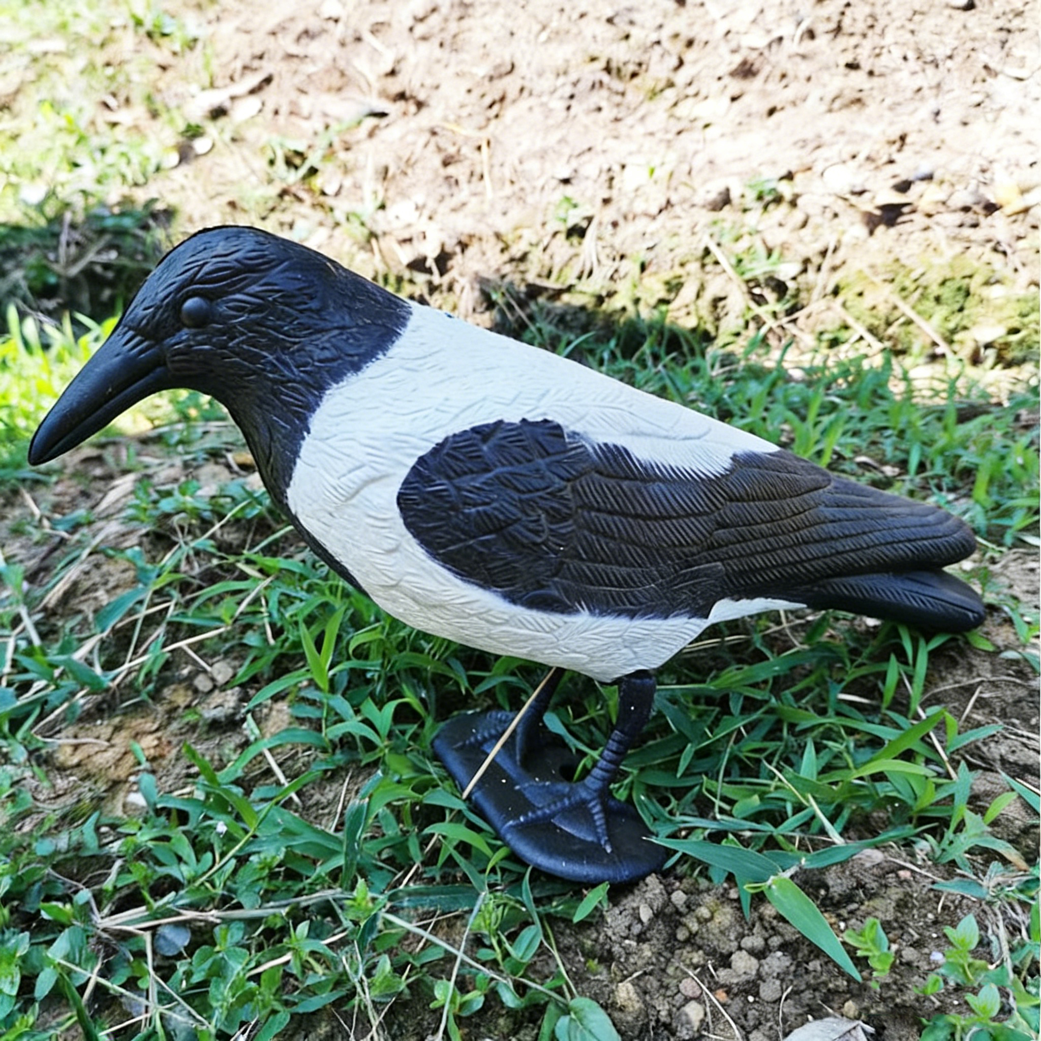 No flocking + white spray paint