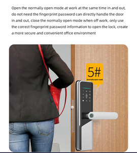メインドア入口ロックアクセス制御ロック外部スマートデジタルドアセキュリティフロントハンドルTtlock Tuyaキー入力 - Product Image 5