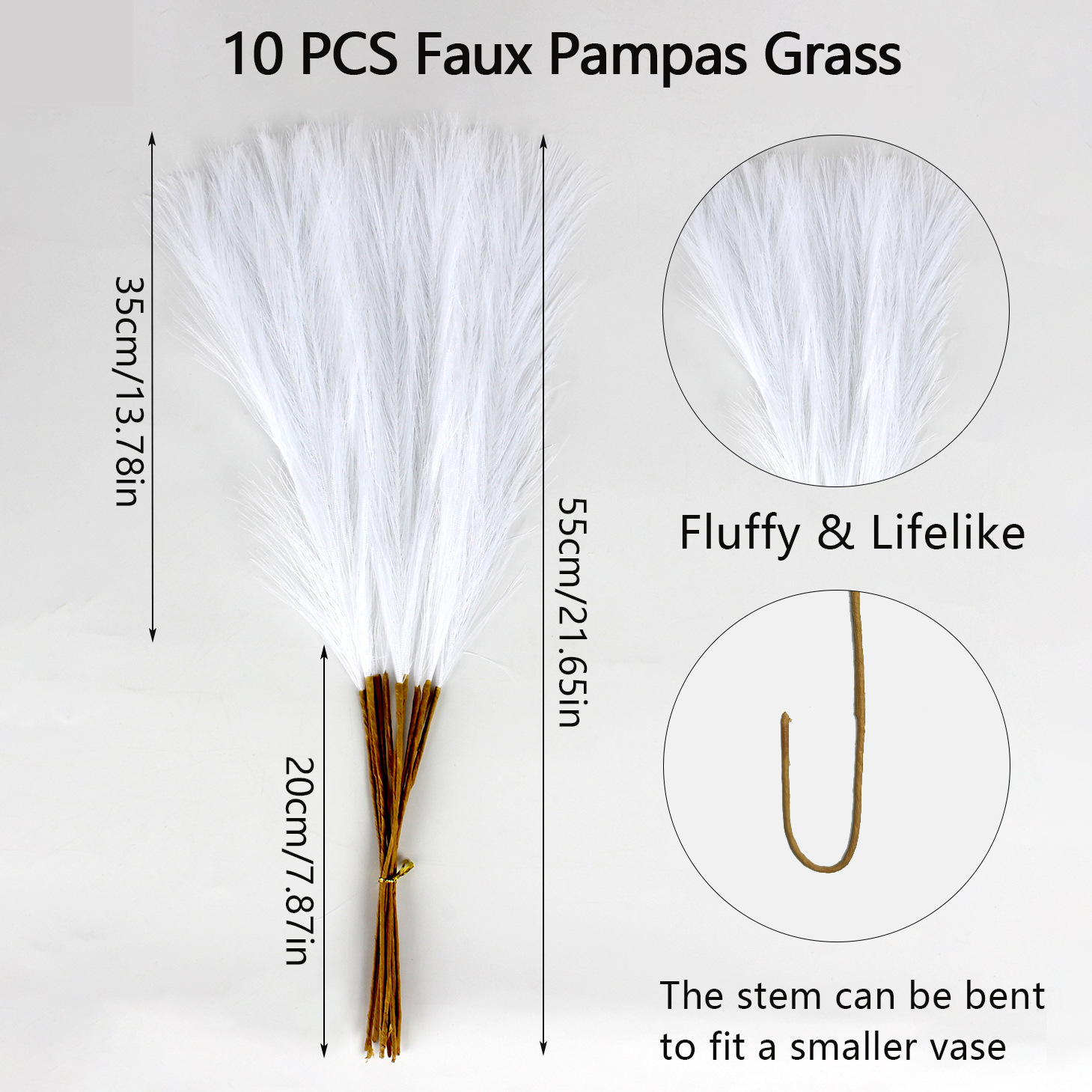 Herbe blanche de la Pampa 10pcs