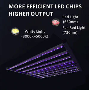 Yeni trend ticari hidroponik tam spektrum yüksek güç 1000W <span class=keywords><strong>Led</strong></span> bitki büyümek <span class=keywords><strong>Led</strong></span> ışık