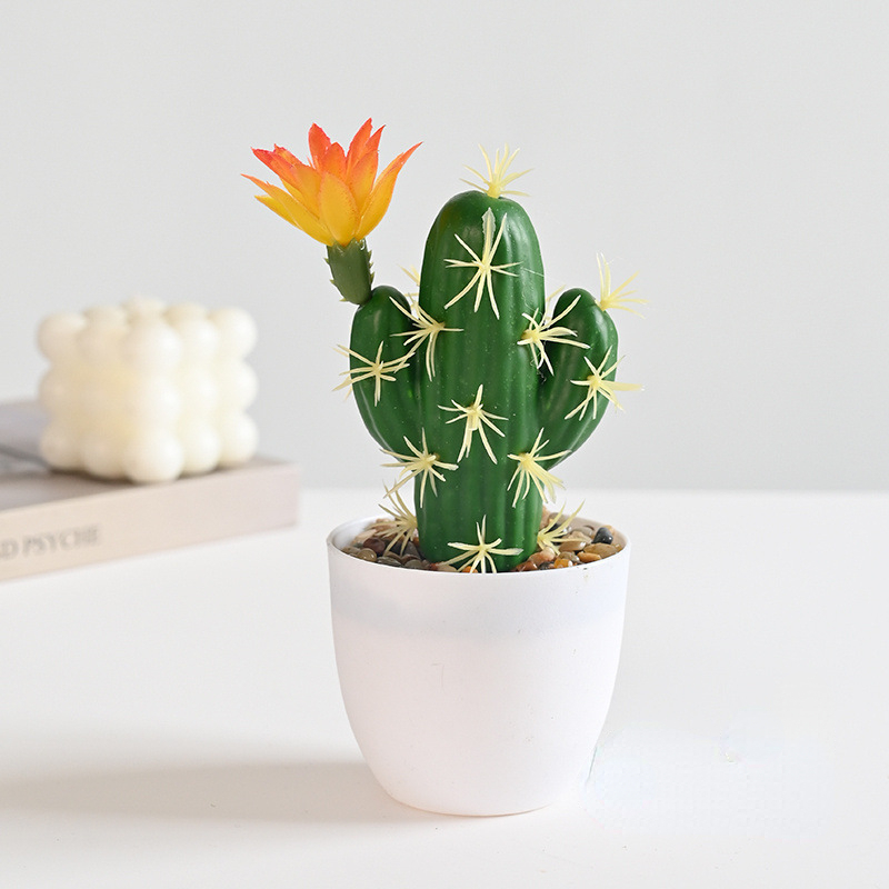 Small Bonsai (Plastic Basin)